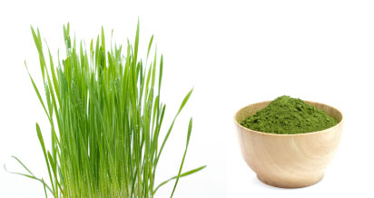 Wheat Grass and Wheat Grass in Wooden Bowl
